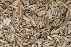 biomass boilers Kilclief